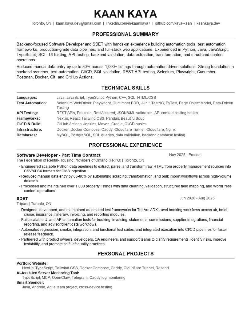 Preview of Kaan Kaya's resume